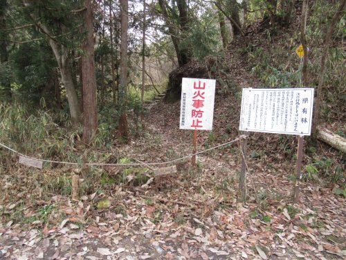 林道